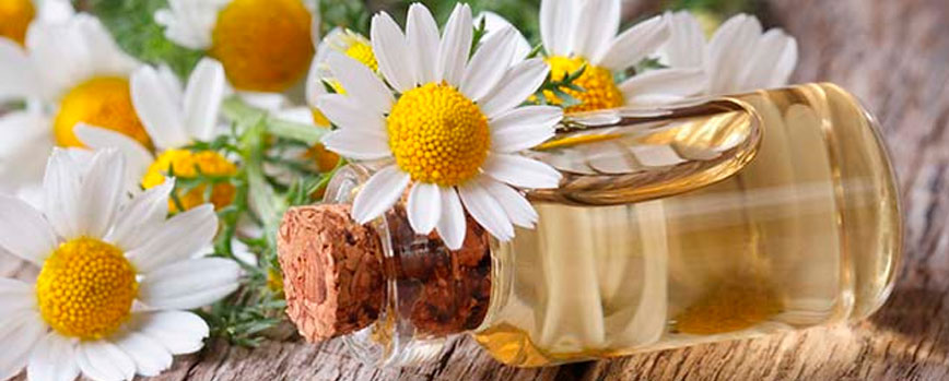 Aceite esencial de manzanilla
