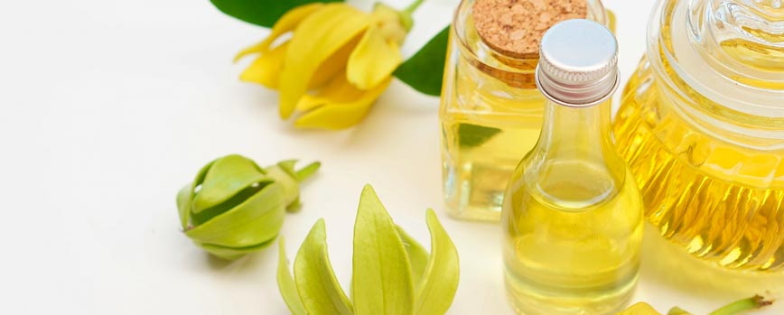 Ylang ylang propiedades