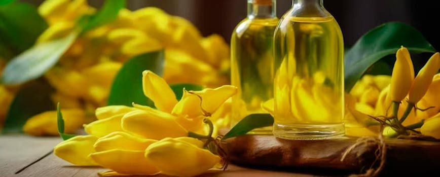 Precauciones y consideraciones del aceite ylang-ylang
