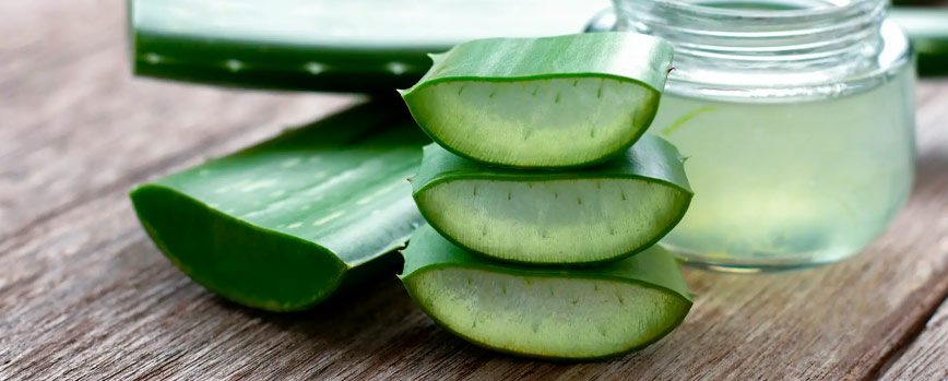 Beneficios del gel de aloe vera