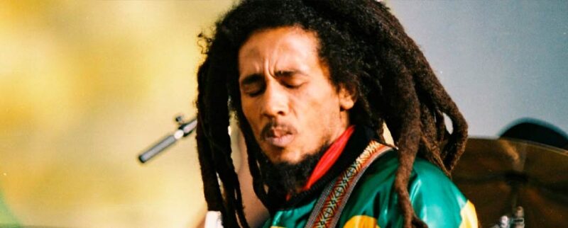 Rastas en el pelo: cómo se hacen | Blog Druni