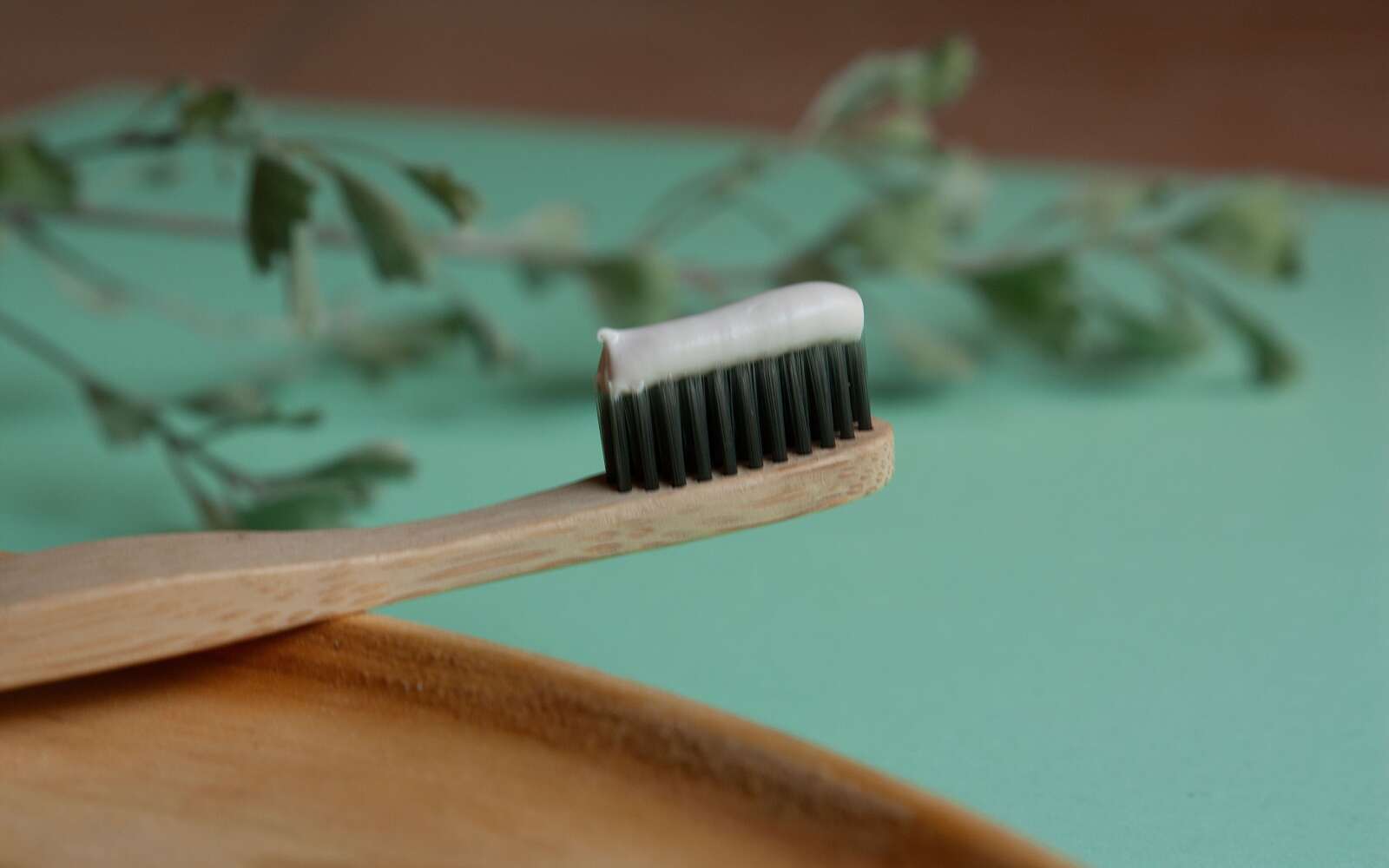 Cepillo de dientes de bambú sostenible con pasta de dientes a base de hierbas. Ideal para una vida ecológica.