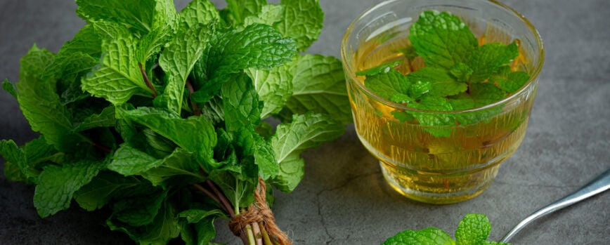 Té de menta en vaso listo para beber