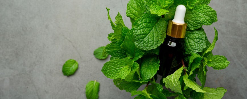 Aceite esencial de menta pimienta en botella con menta verde fresca