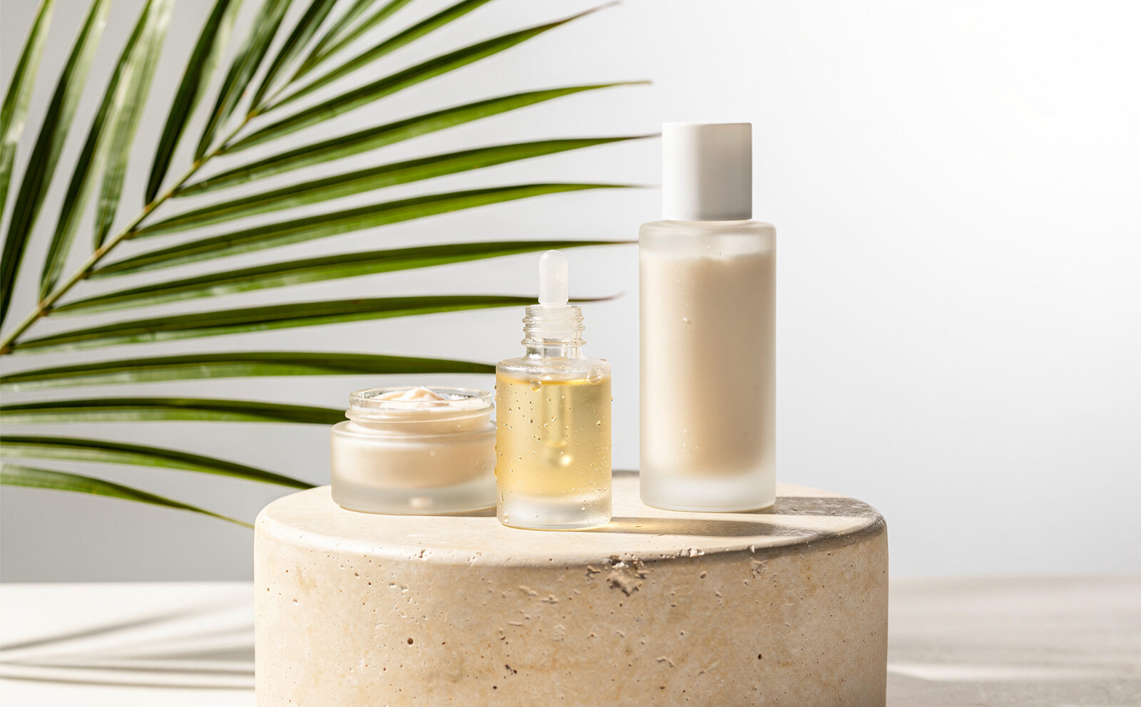 cosmética y rama de aceite de palma bodegon