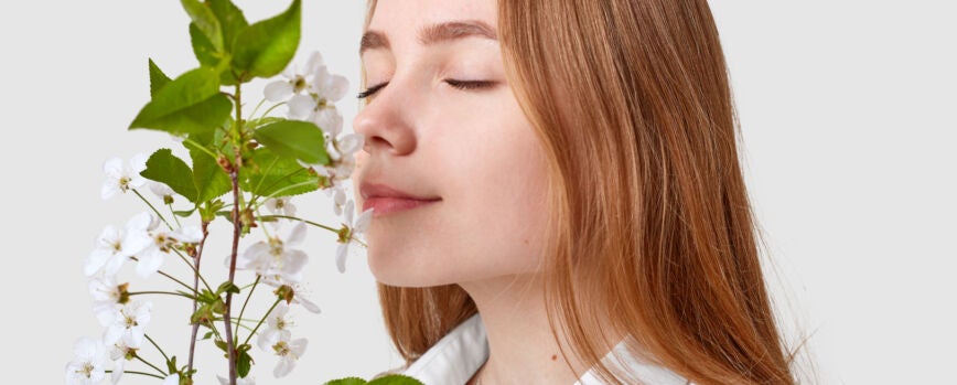 Mujer atractiva complacida huele a flor de cerezo