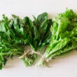 Verduras y hortalizas
