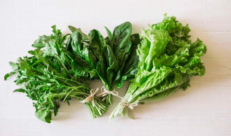 Verduras y hortalizas