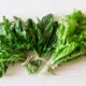Verduras y hortalizas