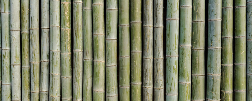 Balsa de bambú