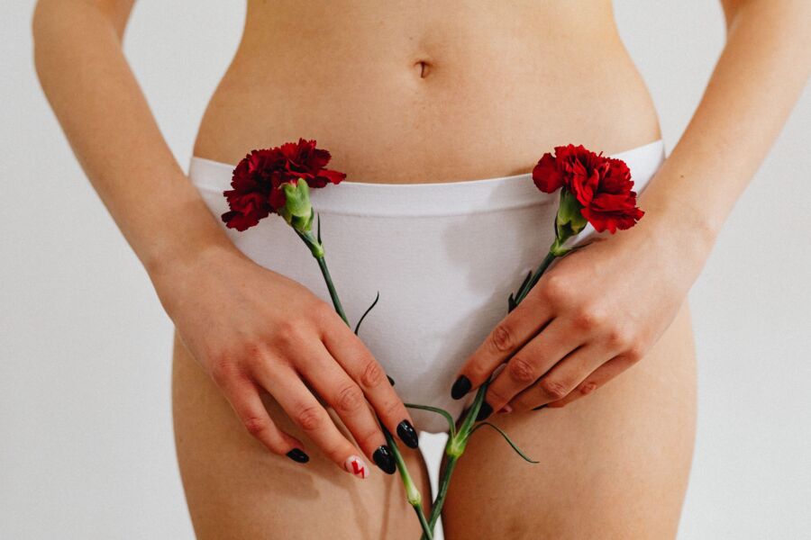 Imagen artística de una mujer sosteniendo claveles rojos contra ropa interior blanca.
