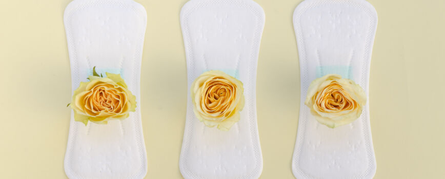 Serie de toallas sanitarias con rosas amarillas.