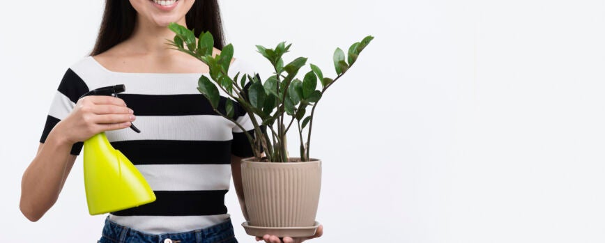 Flor de pulverización femenina de primer plano