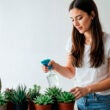Woman watering her succulents