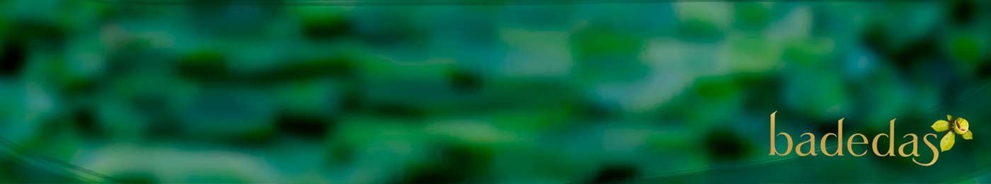BADEDAS