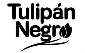 TULIPAN NEGRO