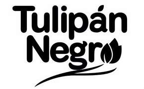 TULIPAN NEGRO