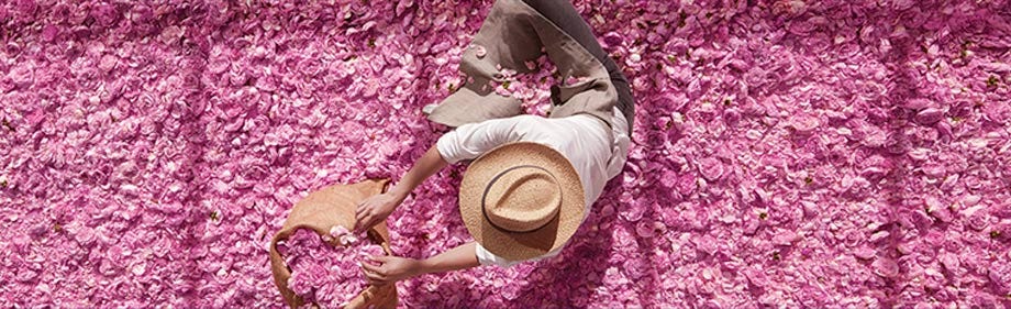 Dior Expertise Dior Expertise