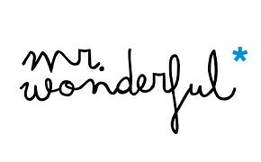 MR WONDERFUL