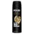 Desodorante Spray Gold Temptation