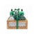 Sandalwood Musk
