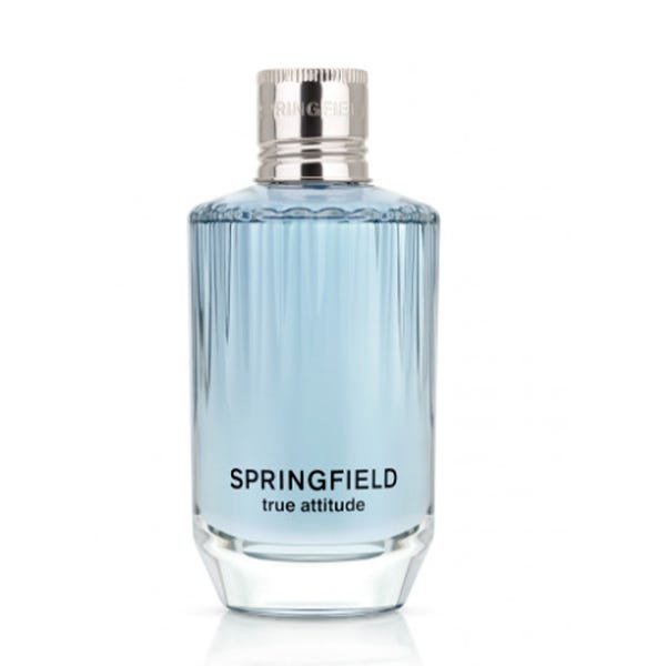 Sprinfield True Attitude