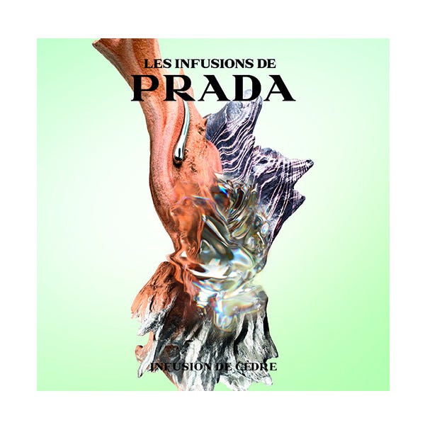 Prada infusion iris 2025 cèdre