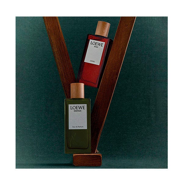 Solo loewe hombre druni hotsell