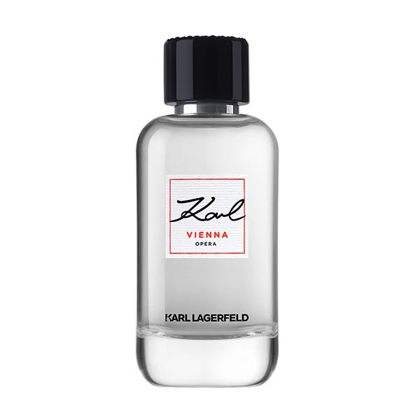 Lagerfeld perfume hombre hotsell