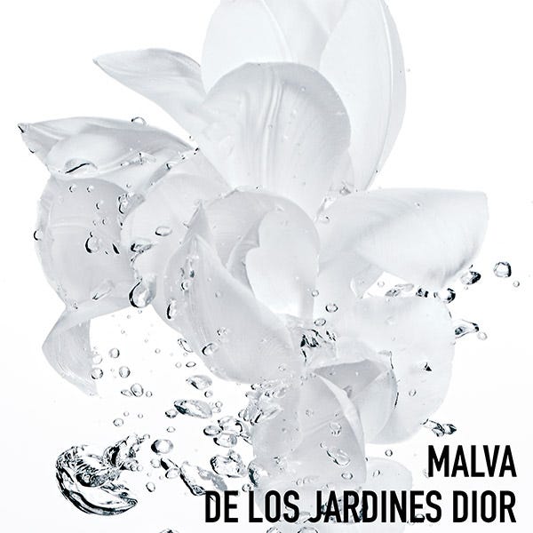 Hydra Life Cr me Sorbet Intense DIOR Crema Hidratante y Nutritiva