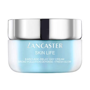 Skin Life Early Age Delay Day Cream