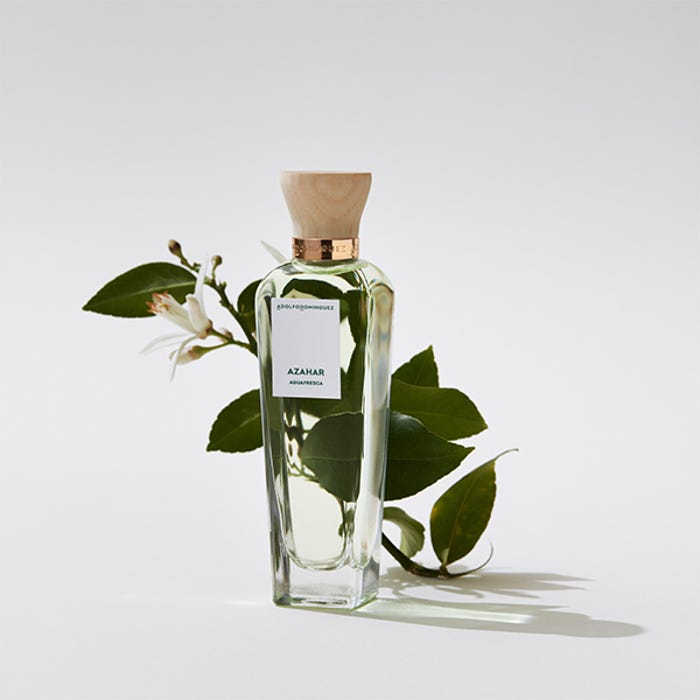 Perfumes verano