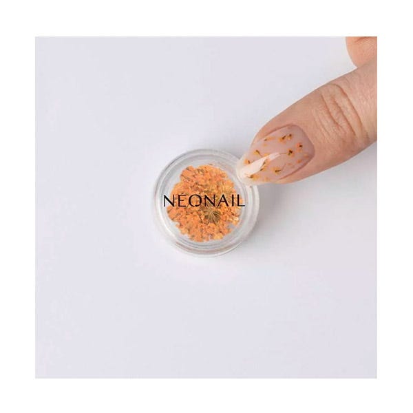 Neonail Flores Secas Uñas Naranja