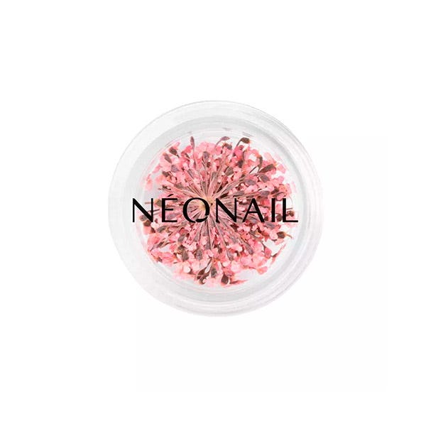 Neonail Flores Secas Uñas Rosa