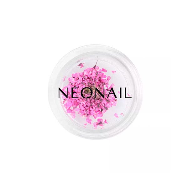 Neonail Flores Secas Uñas Violeta
