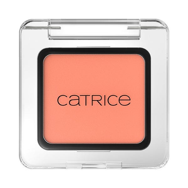 Catrice Art Couleurs 480
