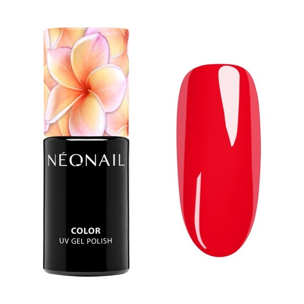 Esmalte Semipermanente