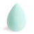 Oval Blender Sponge