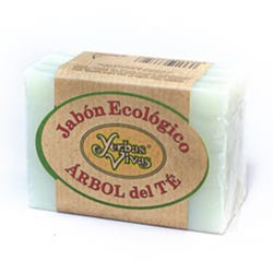 Ofertas, chollos, descuentos y cupones de YERBAS VIVAS Jabon Natural Arbol De Te | 100GR Pastila de jabón con acción antiséptica, antibacteriana y antifúngica