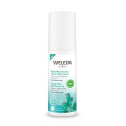 Ofertas, chollos, descuentos y cupones de WELEDA Hydramist Bruma Facial Hidratante | 100ML Bruma con extracto de cactus