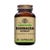 Echinacea Extract