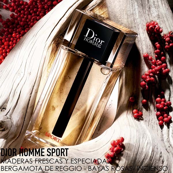 Dior homme parfum druni clearance
