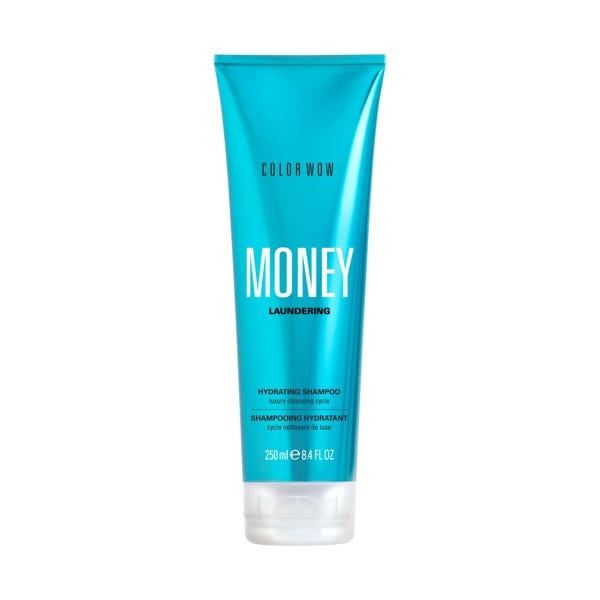 Money Laundering