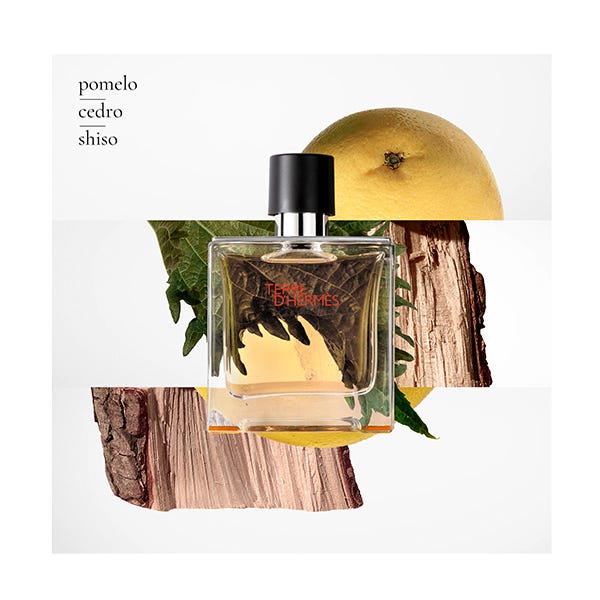 Terre D hermes HERM S Eau de Parfum para hombre precio DRUNI.es