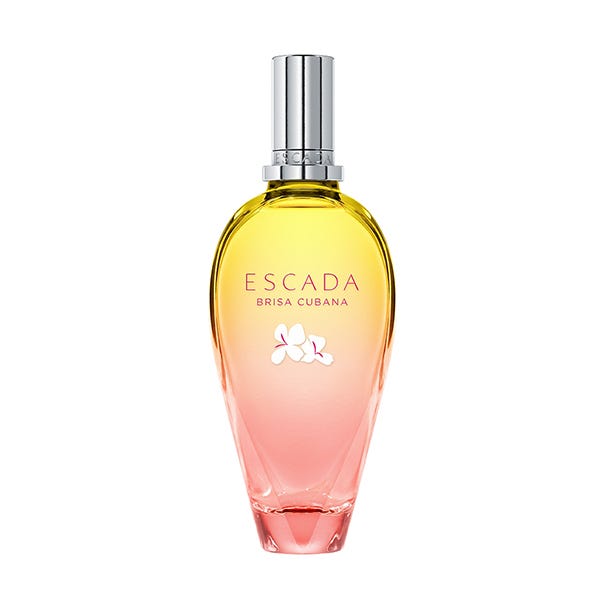 PERFUMES Online Comprar al Mejor Precio DRUNI.es