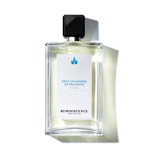 Sous Un Mimosa De Provence