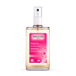 Imagen de WELEDA Desodorante Spray De Rosa Mosqueta | 100ML Eficacia 24h 100% natural sin sales de aluminio Ofertas, chollos, descuentos y cupones de WELEDA Desodorante Spray De Rosa Mosqueta | 100ML Eficacia 24h 100% natural sin sales de aluminio