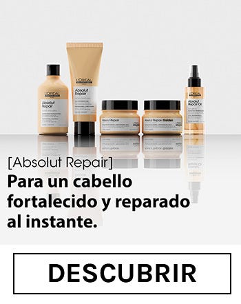 ABSOLUT REPAIR