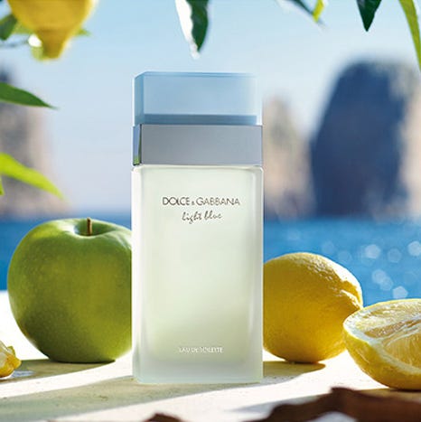 DOLCE GABBANA Perfumes Novedades opiniones mejores precios