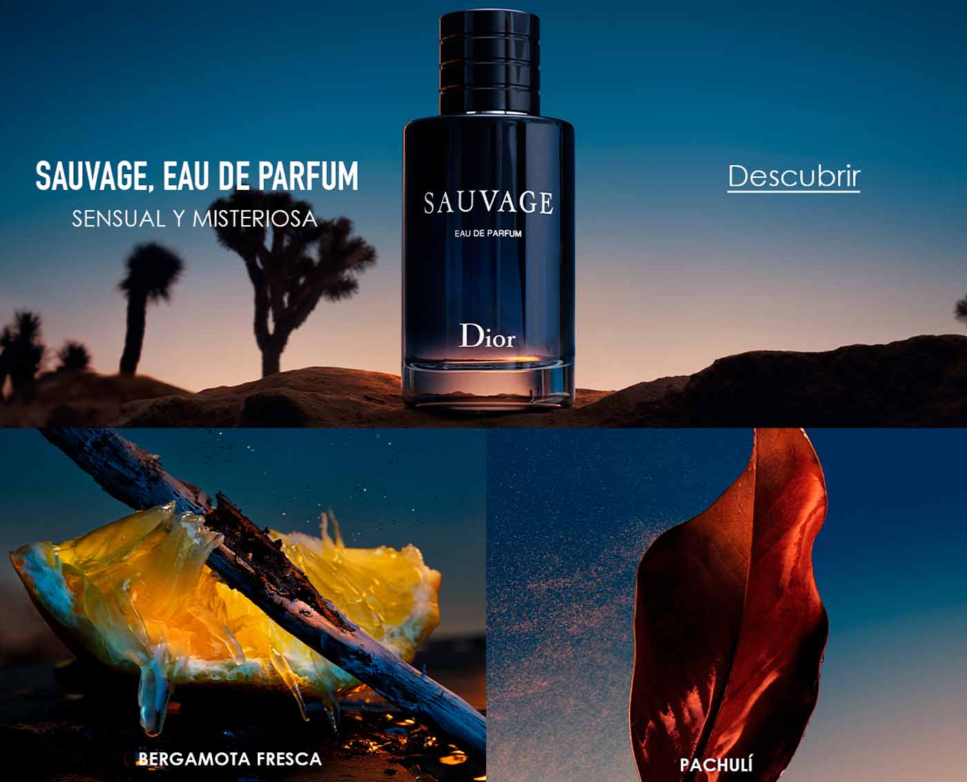 Descubre Dior Sauvage